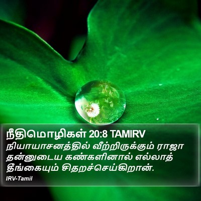 நீதிமொழிகள் 20:8 TAMIRV Bible Verse Image