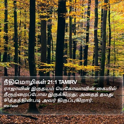 நீதிமொழிகள் 21:1 TAMIRV Bible Verse Image