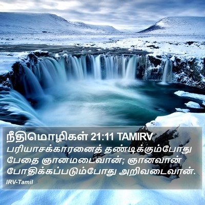நீதிமொழிகள் 21:11 TAMIRV Bible Verse Image
