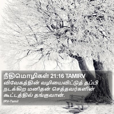 நீதிமொழிகள் 21:16 TAMIRV Bible Verse Image
