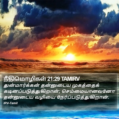 நீதிமொழிகள் 21:29 TAMIRV Bible Verse Image