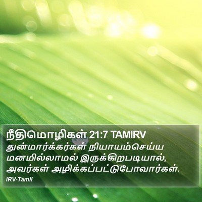 நீதிமொழிகள் 21:7 TAMIRV Bible Verse Image