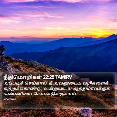 நீதிமொழிகள் 22:25 TAMIRV Bible Verse Image