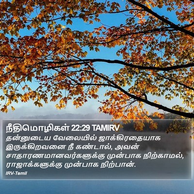 நீதிமொழிகள் 22:29 TAMIRV Bible Verse Image