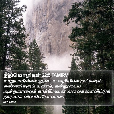 நீதிமொழிகள் 22:5 TAMIRV Bible Verse Image