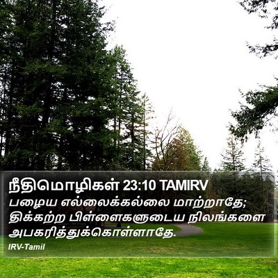 நீதிமொழிகள் 23:10 TAMIRV Bible Verse Image