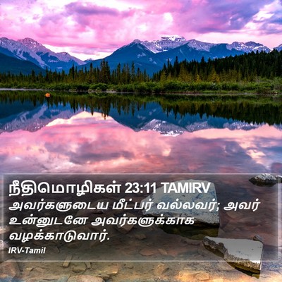நீதிமொழிகள் 23:11 TAMIRV Bible Verse Image