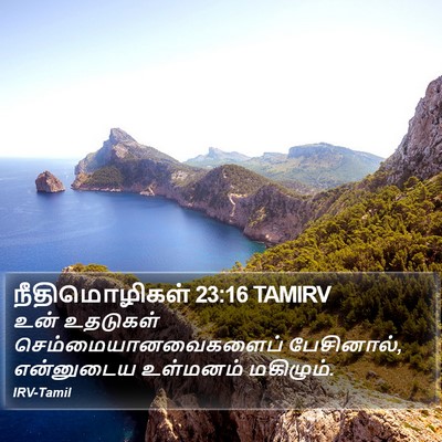 நீதிமொழிகள் 23:16 TAMIRV Bible Verse Image