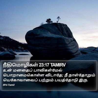 நீதிமொழிகள் 23:17 TAMIRV Bible Verse Image