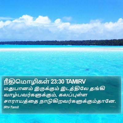 நீதிமொழிகள் 23:30 TAMIRV Bible Verse Image