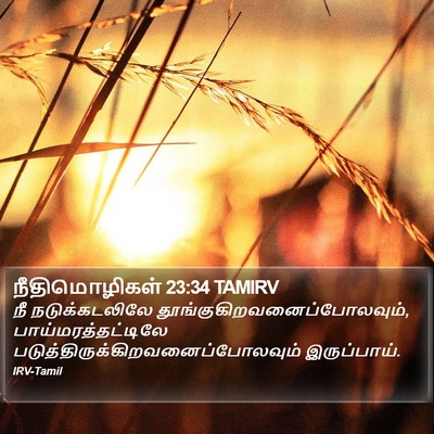 நீதிமொழிகள் 23:34 TAMIRV Bible Verse Image