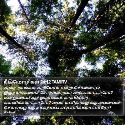நீதிமொழிகள் 24:12 TAMIRV Bible Verse Image