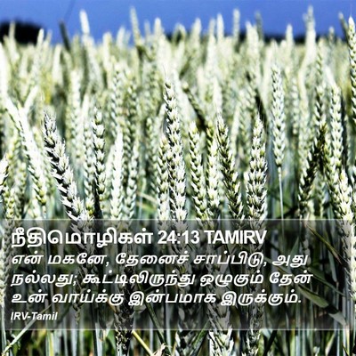 நீதிமொழிகள் 24:13 TAMIRV Bible Verse Image