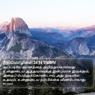 நீதிமொழிகள் 24:14 TAMIRV Bible Verse Image