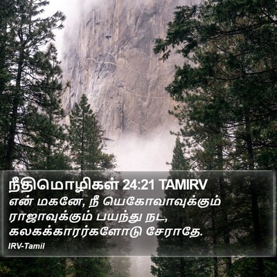 நீதிமொழிகள் 24:21 TAMIRV Bible Verse Image