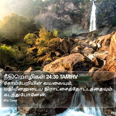நீதிமொழிகள் 24:30 TAMIRV Bible Verse Image