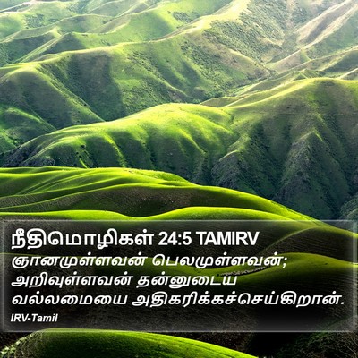 நீதிமொழிகள் 24:5 TAMIRV Bible Verse Image