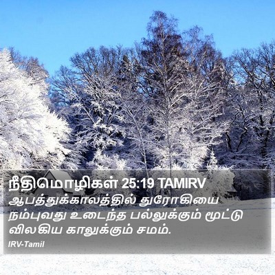நீதிமொழிகள் 25:19 TAMIRV Bible Verse Image