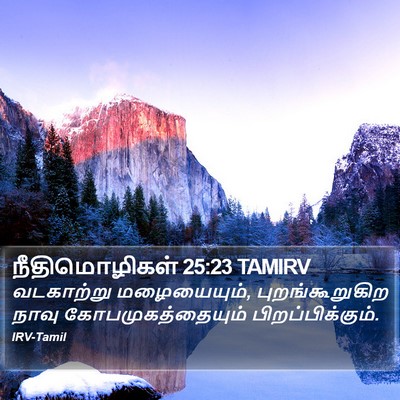 நீதிமொழிகள் 25:23 TAMIRV Bible Verse Image
