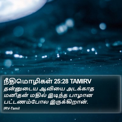 நீதிமொழிகள் 25:28 TAMIRV Bible Verse Image