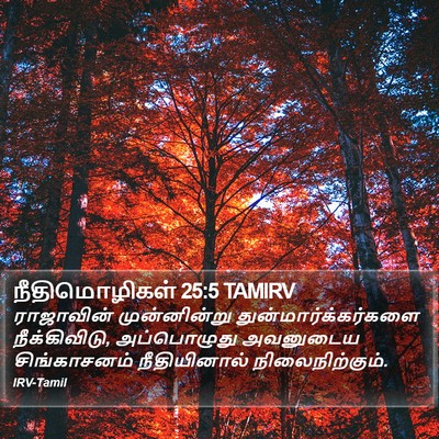 நீதிமொழிகள் 25:5 TAMIRV Bible Verse Image