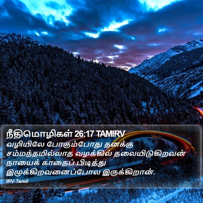 நீதிமொழிகள் 26:17 TAMIRV Bible Verse Image