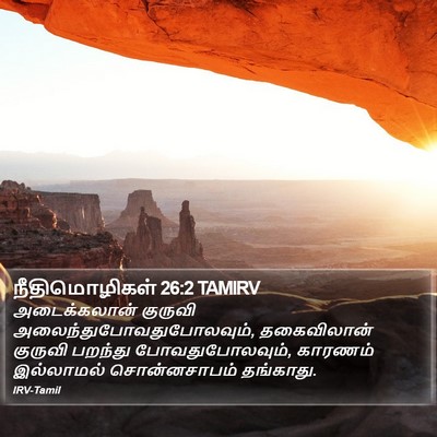 நீதிமொழிகள் 26:2 TAMIRV Bible Verse Image