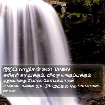 நீதிமொழிகள் 26:21 TAMIRV Bible Verse Image
