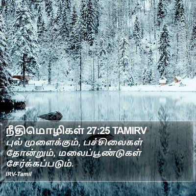 நீதிமொழிகள் 27:25 TAMIRV Bible Verse Image