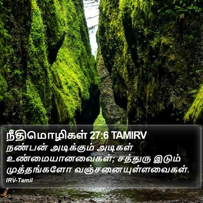நீதிமொழிகள் 27:6 TAMIRV Bible Verse Image