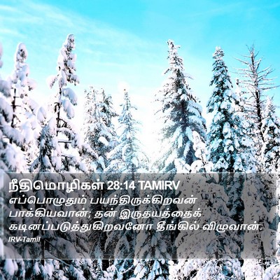 நீதிமொழிகள் 28:14 TAMIRV Bible Verse Image
