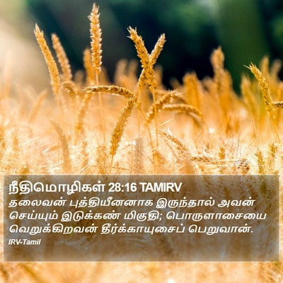 நீதிமொழிகள் 28:16 TAMIRV Bible Verse Image