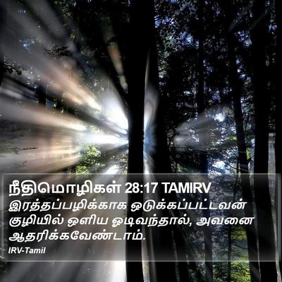 நீதிமொழிகள் 28:17 TAMIRV Bible Verse Image