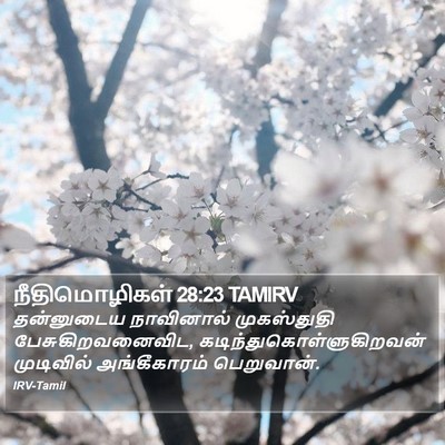 நீதிமொழிகள் 28:23 TAMIRV Bible Verse Image