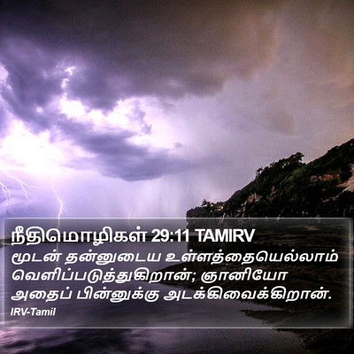 நீதிமொழிகள் 29:11 TAMIRV Bible Verse Image