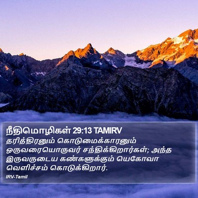 நீதிமொழிகள் 29:13 TAMIRV Bible Verse Image