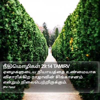 நீதிமொழிகள் 29:14 TAMIRV Bible Verse Image