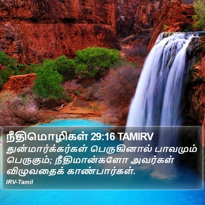 நீதிமொழிகள் 29:16 TAMIRV Bible Verse Image