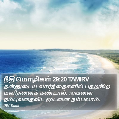 நீதிமொழிகள் 29:20 TAMIRV Bible Verse Image