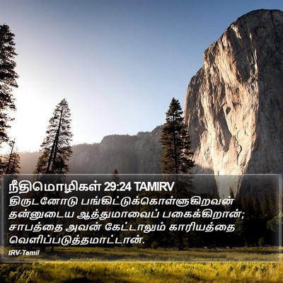 நீதிமொழிகள் 29:24 TAMIRV Bible Verse Image