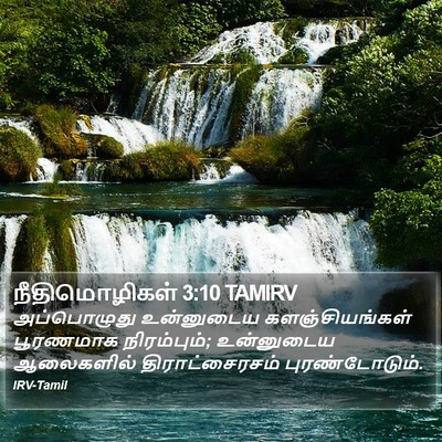 நீதிமொழிகள் 3:10 TAMIRV Bible Verse Image