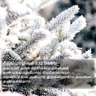 நீதிமொழிகள் 3:12 TAMIRV Bible Verse Image