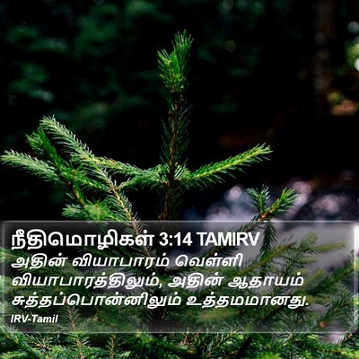 நீதிமொழிகள் 3:14 TAMIRV Bible Verse Image