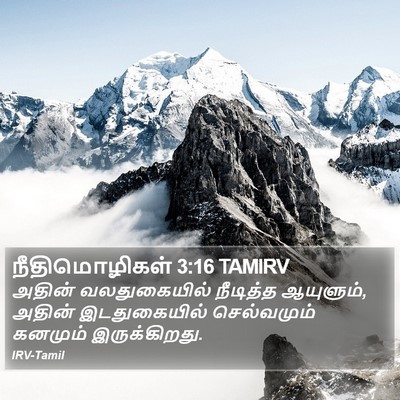 நீதிமொழிகள் 3:16 TAMIRV Bible Verse Image