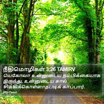 நீதிமொழிகள் 3:26 TAMIRV Bible Verse Image