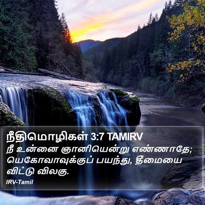 நீதிமொழிகள் 3:7 TAMIRV Bible Verse Image