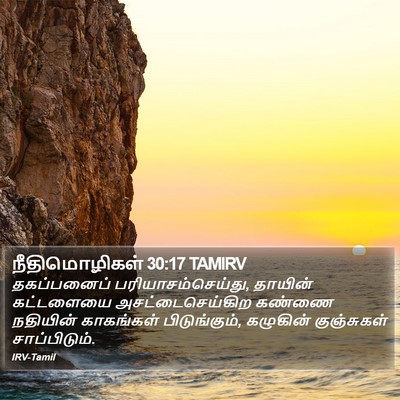 நீதிமொழிகள் 30:17 TAMIRV Bible Verse Image