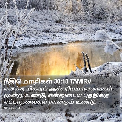 நீதிமொழிகள் 30:18 TAMIRV Bible Verse Image