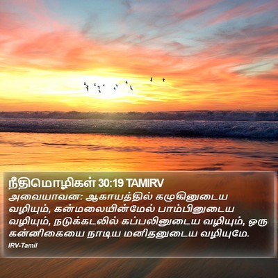 நீதிமொழிகள் 30:19 TAMIRV Bible Verse Image