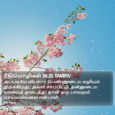 நீதிமொழிகள் 30:20 TAMIRV Bible Verse Image